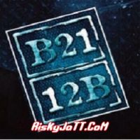 B21 - 12B By Baljinder Bilga, Bhota Jagpal and others... full album mp3 songs