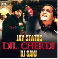 Dil Cherdi Jay Status, DJ Sanj Mp3 Song Download