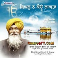 Birkhey Heth Sabh Bhai Nirmal Singh Ji Khalsa Mp3 Song Download