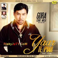 Jigre Gora Chak Wala Mp3 Song Download