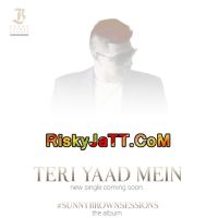 Teri Yaad Mein Sunny Brown Mp3 Song Download