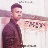 Tere Bina Ft Elijah Tazzz Mp3 Song Download