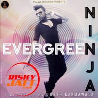 Evegreen Ninja Mp3 Song Download