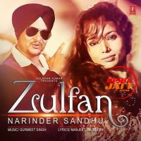 Zulfan Narinder Sandhu Mp3 Song Download