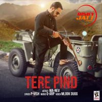 Tere Pind Ma-Nev Mp3 Song Download