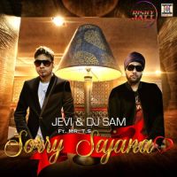 Sorry Sajana Jevi, Mr TS Mp3 Song Download