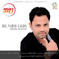 Dil Nahio Lagda Shinda Multani, Navi Singh Mp3 Song Download