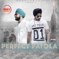 Perfect Patola Raunaq Singh, D-Harsh Mp3 Song Download