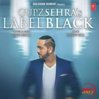 Label Black Gupz Sehra Mp3 Song Download