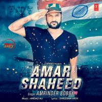 Amar Shaheed Amrinder Bobby Mp3 Song Download