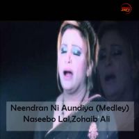 Neendran Ni Aundiya (Medley) Naseebo Lal Mp3 Song Download