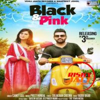 Black Camey Gill Mp3 Song Download