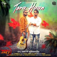 Tera Haan Gill Deep, Supernova Mp3 Song Download