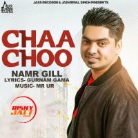 Chaa Choo Namr Gill Mp3 Song Download