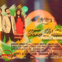 Tere Naal Rahul Prince Mp3 Song Download