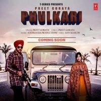 Phulkari Preet Goraya Mp3 Song Download