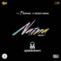 Naina (Upsidedown Remix) The Prophec, Mickey Singh Mp3 Song Download