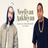 Neeliyan Aakhiyan Shaji, KB, B Rave Mp3 Song Download