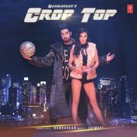 Crop Top Nambardar Mp3 Song Download