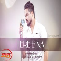 Tere Bina Neeraj Bakshi Mp3 Song Download