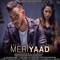 Meri Yaad Kabir, Rahul Shoor Mp3 Song Download