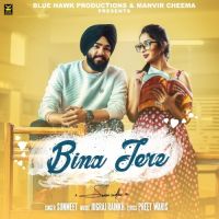 Bina Tere Sunmeet Mp3 Song Download