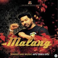 Malang APS Tinka Gill Mp3 Song Download