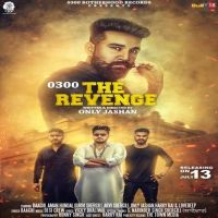 The Revenge 0300 Baaghi Mp3 Song Download