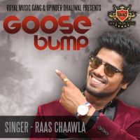 Goose Bump Raas Chaawla, Apekhsha Dandekar Mp3 Song Download