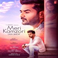 Meri Kamzori Ladi Singh Mp3 Song Download