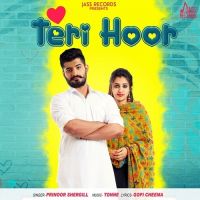 Teri Hoor Prinoor Shergill Mp3 Song Download