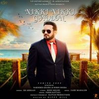 Nikki Nikki Gallon SB Armaan Mp3 Song Download