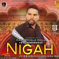 Nigah Kala Rogla Mp3 Song Download