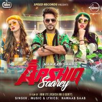 Aashiq Saarey Nawaab Saab Mp3 Song Download