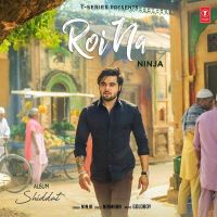 Roi Na (Shiddat) Ninja Mp3 Song Download