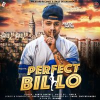 Perfect Billo Parth Sarthi Mp3 Song Download