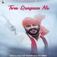 Tere Rangaan Ne Sai Sultan Mp3 Song Download