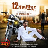 12 Mahine V Kay (Vikas Pandit) Mp3 Song Download