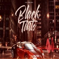 Black Tints Jagz Dhaliwal Mp3 Song Download