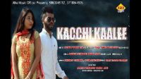 Tu Pakya Aam Me Kele Ki Fali Sandeep Chandal , Pooja Mastana Mp3 Song Download