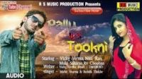 Mast Tokani Raju Punjabi Mp3 Song Download