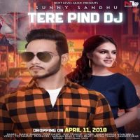 Tere Pind Dj Sunny Sandhu Mp3 Song Download