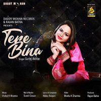 Tere Bina Gurlez Akhtar Mp3 Song Download