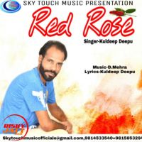 Red Rose Kuldeep Deepu Mp3 Song Download