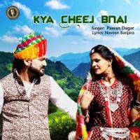 Kya Cheej Bnai Pawan Dagar, Sonu Soni, Vicky Rajput Mp3 Song Download