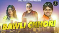 Bawli Chhori Vikash Kumar, Sheenam Ketholic, Sanjay Verma, Shilpa Singh Mp3 Song Download