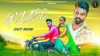 Gulabo Raj Mawar, Vicky Siwani, Himani Nimran Mp3 Song Download