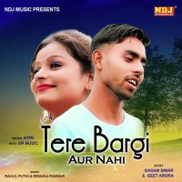 Tere Bargi Aur Nahi Rahul Puthi, Renuka Panwar Mp3 Song Download