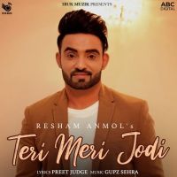 Teri Meri Jodi Resham Singh Anmol Mp3 Song Download