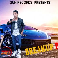 Breakup party Lovely, Sushil Panchal Mp3 Song Download